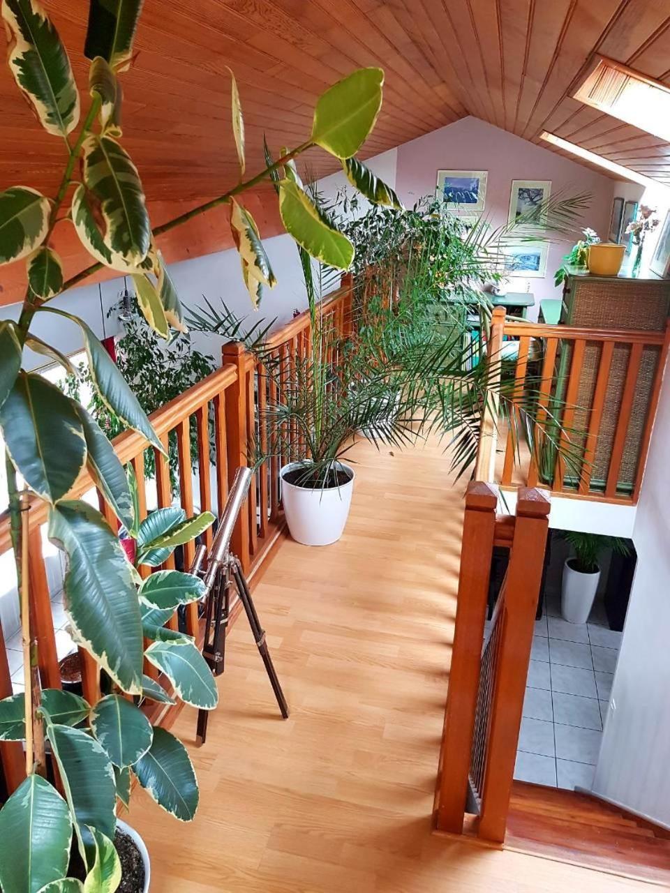 Bed and Breakfast Chez Maryna Longpont-sur-Orge Екстер'єр фото